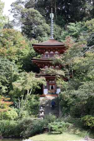 浄瑠璃寺 三重塔望む