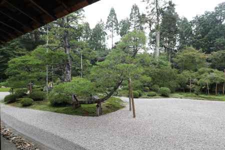 曼殊院 枯山水庭園5