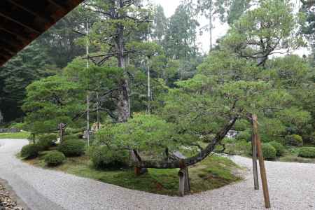 曼殊院 枯山水庭園21