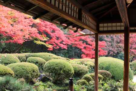 秋の詩仙堂　紅葉の庭