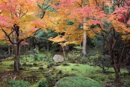 秋の詩仙堂　庭の石碑