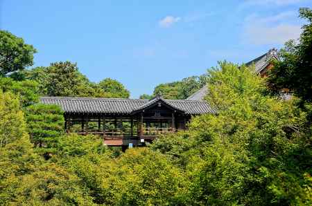 東福寺の通天橋を西の臥雲橋から