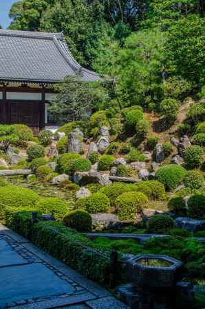 東福寺開山堂に通じる参道の右側に庭を見る