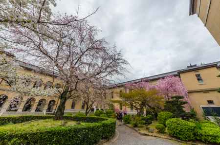 京都府庁旧本館の中庭を見渡す