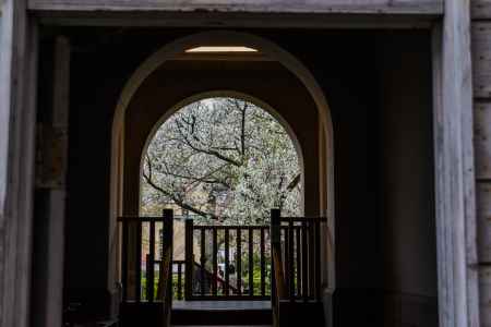 京都府庁旧本館、中庭に別れを告げる