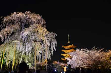 夜の東寺を楽しむ
