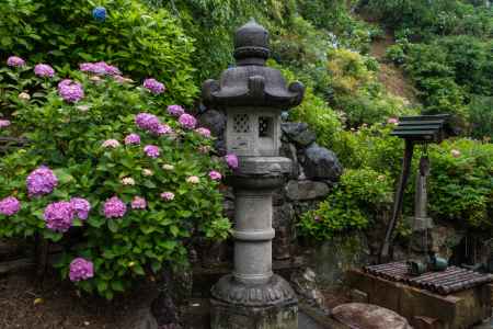 雨の善峯寺、石灯籠とアジサイ　その２