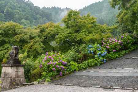 雨の善峯寺、釈迦堂エリアから薬師寺エリアに向かう