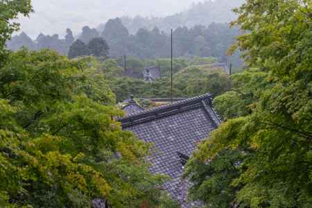雨の善峯寺、山中の境内は霧に包まれて