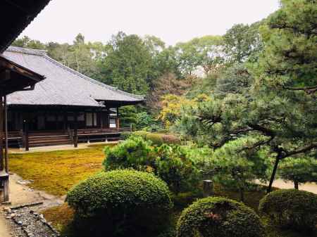 随心院　庭園の緑
