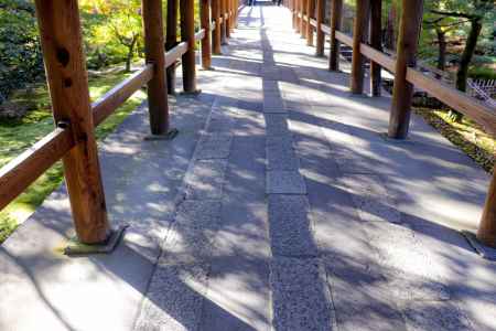 東福寺　秋の足元