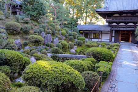 東福寺　庭園散歩