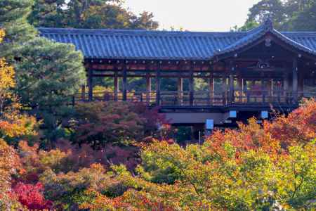 東福寺　通天橋