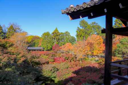 東福寺　広がる錦秋