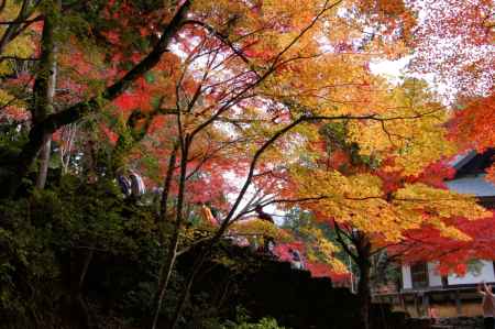 高雄　神護寺１