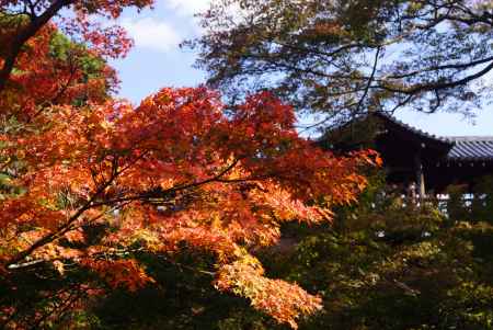東福寺　201411-2