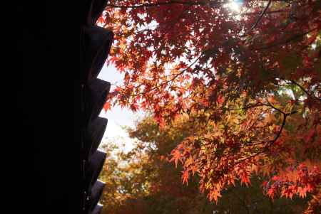 東福寺　201411-3