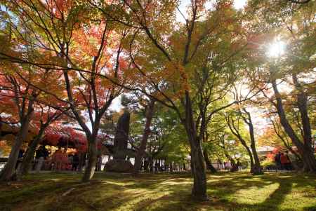 東福寺　201411-4