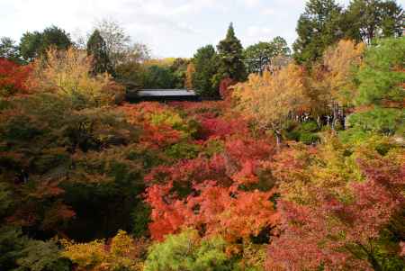 東福寺　201411-5