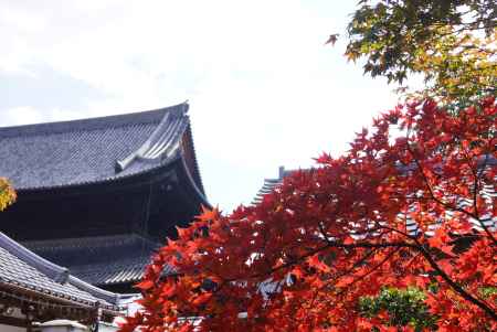東福寺　201411-6