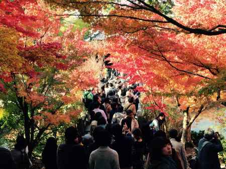 やっぱ紅葉は京都だね