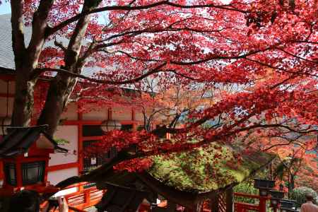 天狗の町　鞍馬へ　⑤