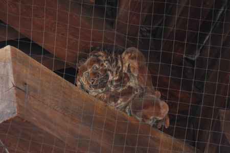 京都　ふしぎ発見　この場所どこかな　④　？