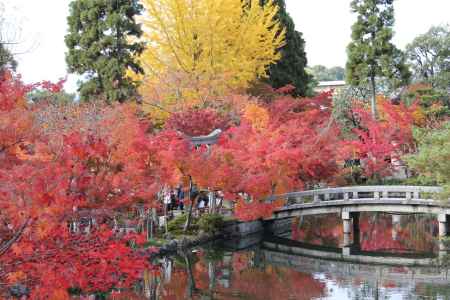 紅葉の永観堂　⑪
