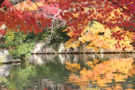 紅葉の永観堂　⑮