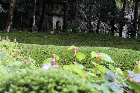 秋の寂光院境内