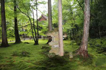 秋の大原　三千院②