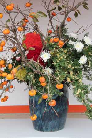 京都御所秋季一般公開　⑤