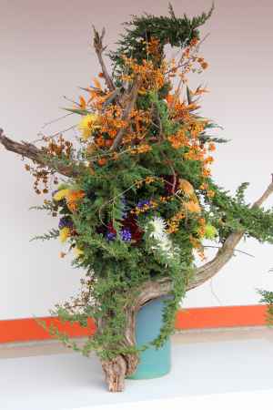 京都御所秋季一般公開　⑥