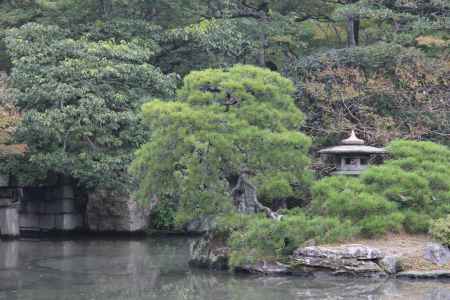 京都御所秋季一般公開　⑫