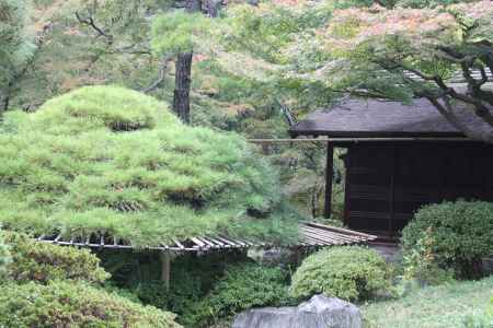 京都御所秋季一般公開　⑬