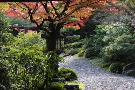 維新の道 京料理店