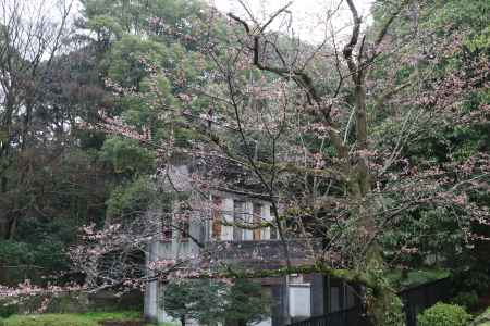 蹴上インクライン　⑬