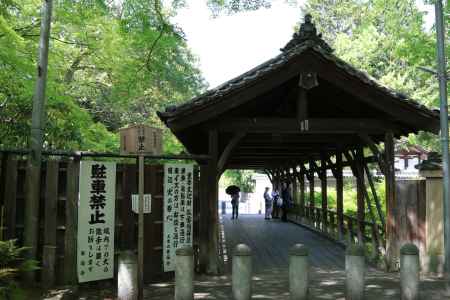 新緑の東福寺　⑧
