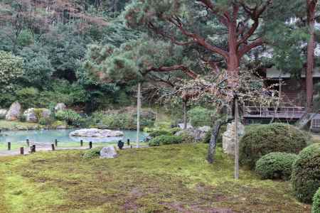 青蓮院庭園3