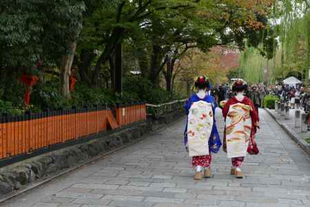 [かにかくに祭]  舞妓はん