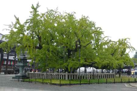 世界遺産　西本願寺1