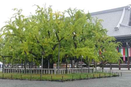 世界遺産　西本願寺2