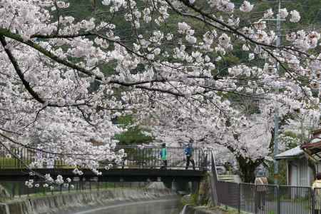 山科疎水散策14