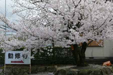 山科　勧修寺21