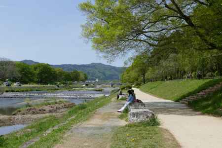 賀茂川と半木の道