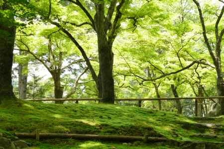 高雄山　神護寺3