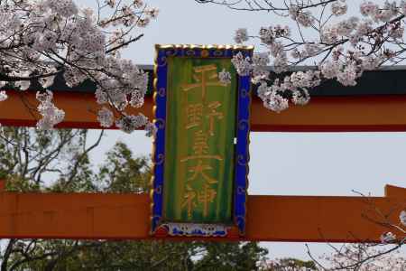 京都平野神社
