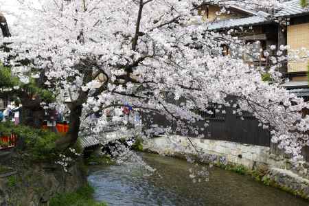祇園白川