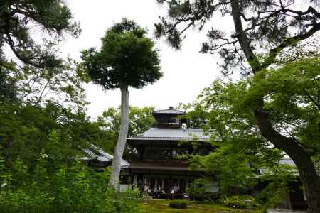 旧三井家下鴨別邸　緑の中に