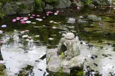 花びら浮かぶ　旧三井家下鴨別邸